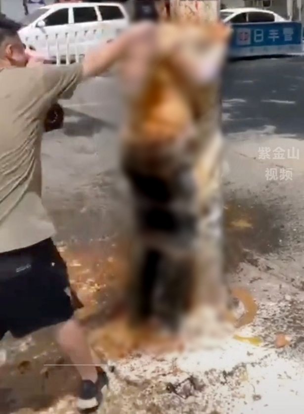 phan no canh chu re bi troi vao cay xit xi danh giay va nem dau phu ngay giua pho 1 phan no canh chu re bi troi vao cay xit xi danh giay va nem dau phu ngay giua pho 1