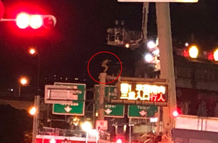 co gai cheo leo tren cot den cao 8m hanh dong bat ngo sau do lam ai nay so thot tim1