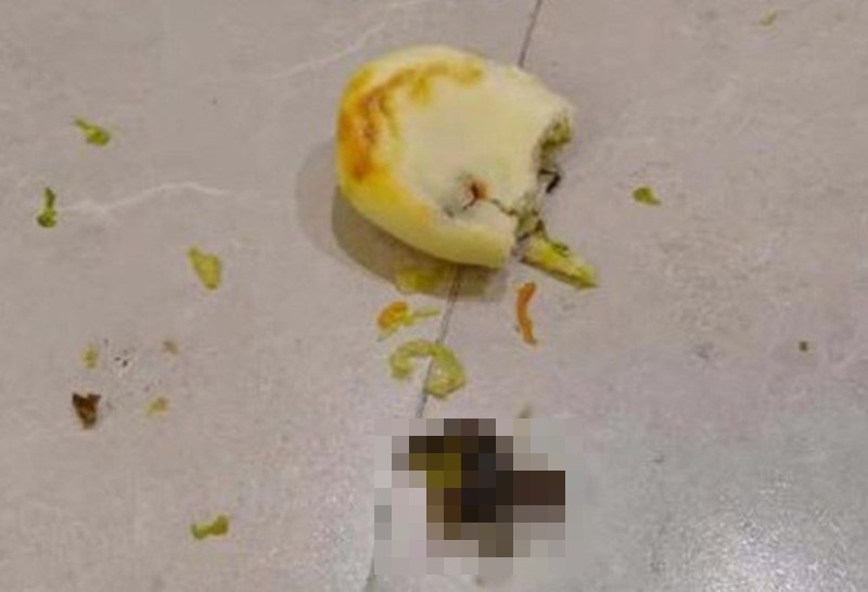 nguoi dan ong quang ngay chiec banh bao khi vua can mieng dau tien nhin thu roi ra ai nay ghe co nguoi dan ong quang ngay chiec banh bao khi vua can mieng dau tien nhin thu roi ra ai nay ghe co