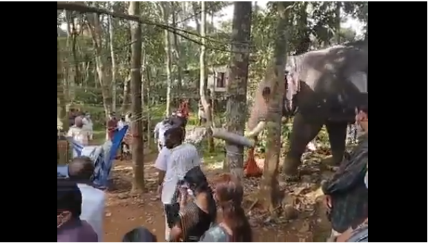 tin tuc doi song ngay 186 phau thuat thanh cong cho benh nhan u mang nao o vi tri hiem gap2