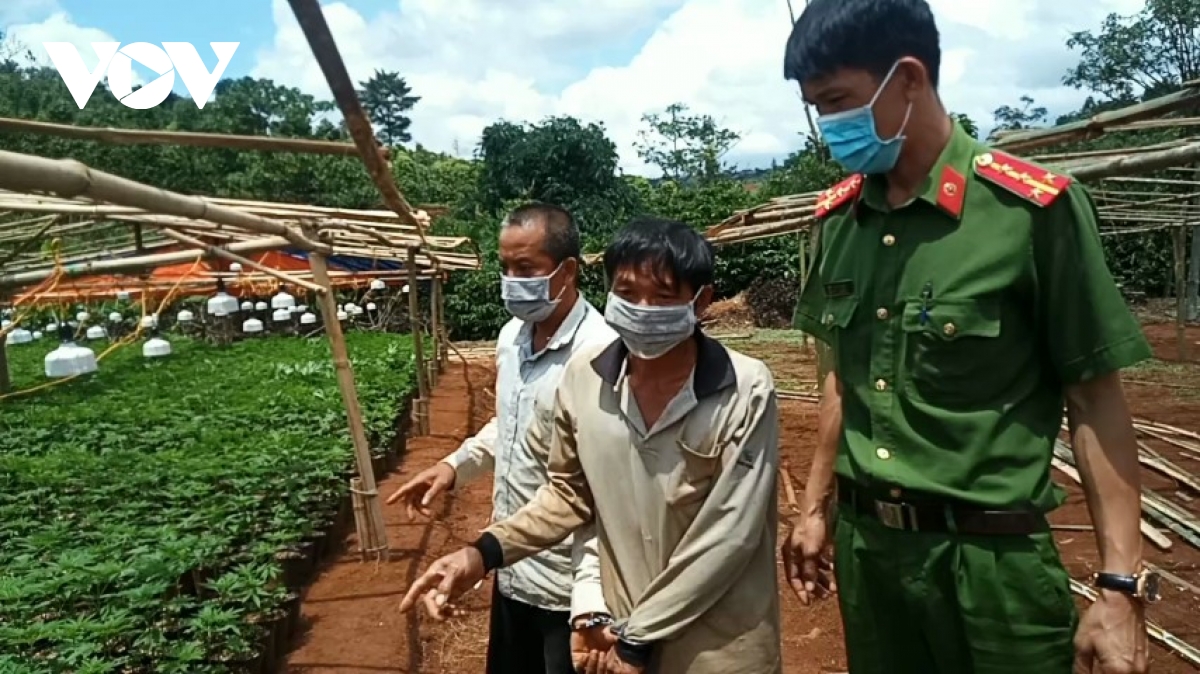 tam giu hinh su hai doi tuong trong hon 2600 cay can sa1 tam giu hinh su hai doi tuong trong hon 2600 cay can sa1
