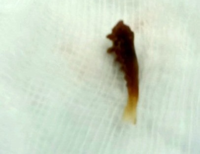 tin tuc doi song ngay 107 xuong ca nam trong phe quan nguoi phu nu suot 1 nam3