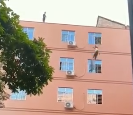 thot tim canh giai cuu be gai 15 tuoi nhay lau tu tu su tinh phia sau khien dan mang phan no thot tim canh giai cuu be gai 15 tuoi nhay lau tu tu su tinh phia sau khien dan mang phan no