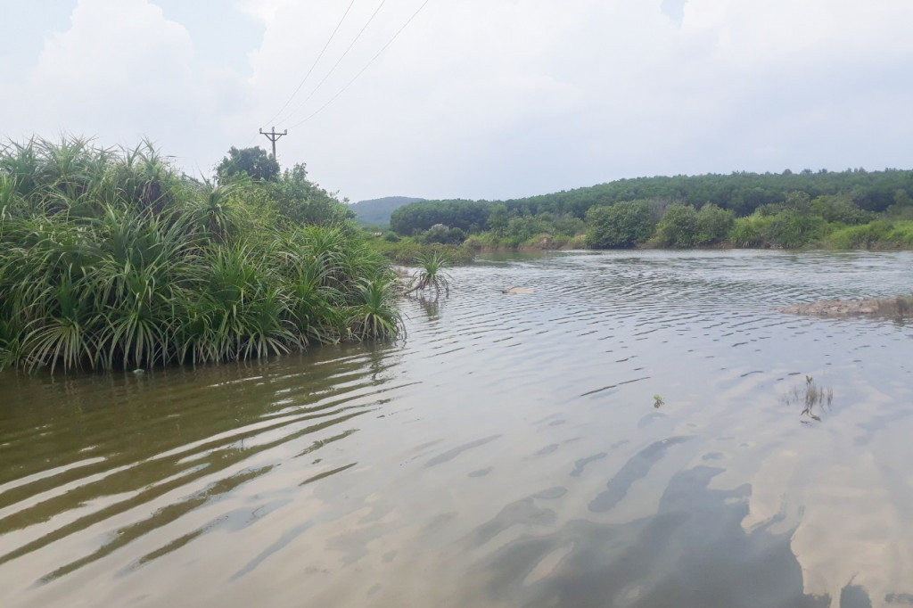 phat hien thi the trong dam nuoi ca o quang ninh phat hien thi the trong dam nuoi ca o quang ninh