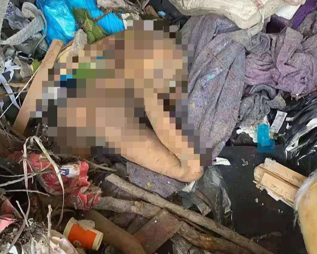 thi the co gai tran nhu nhong trong xe rac canh sat truy quet gat gao phat hien su thuc choang vang thi the co gai tran nhu nhong trong xe rac canh sat truy quet gat gao phat hien su thuc choang vang