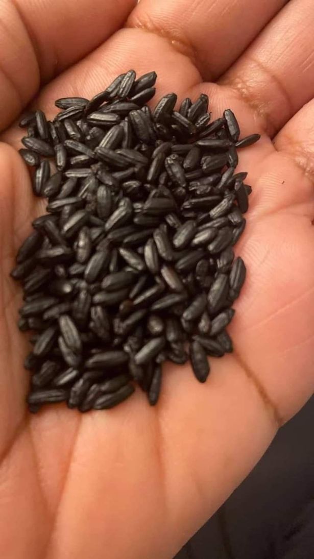 met moi vi phong ngu cac con nhu chuong lon bo dung mot nam gao day bai hoc nho doi met moi vi phong ngu cac con nhu chuong lon bo dung mot nam gao day bai hoc nho doi
