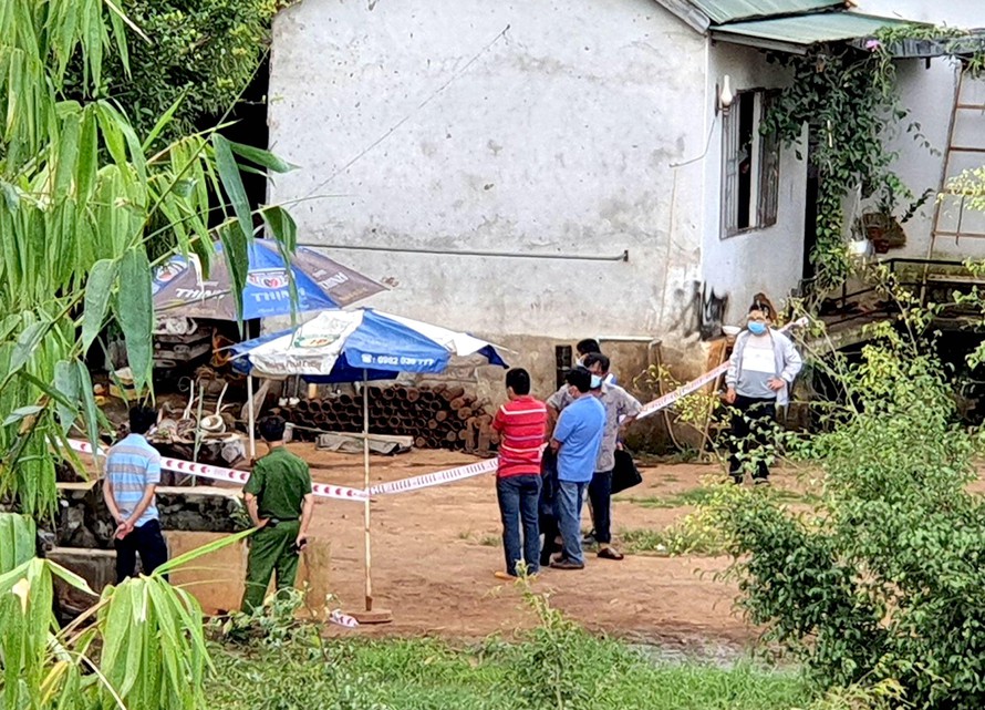gia lai cua dau dan chu quan ca phe tu vong tai cho gia lai cua dau dan chu quan ca phe tu vong tai cho
