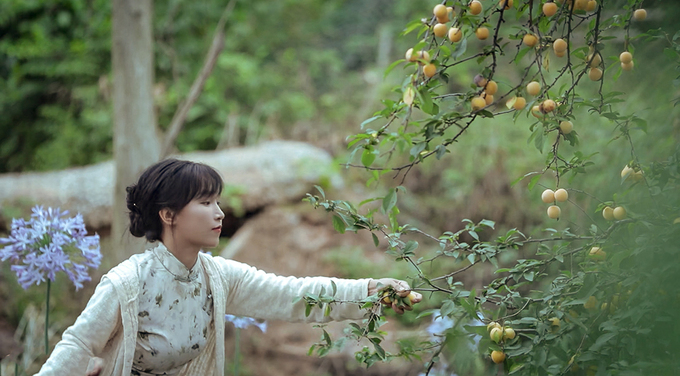 tien nu tu xuyen ly tu that thong bao ngung dang video dong que he lo ly do bat ngo1 tien nu tu xuyen ly tu that thong bao ngung dang video dong que he lo ly do bat ngo1