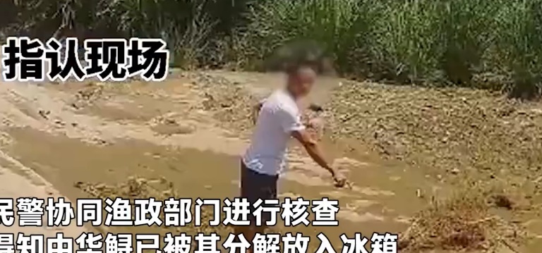 vo khoe video ve con ca la len mang chong bi canh sat so gay vi ly do day ngo ngang1