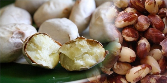 qua mit co mot bo phan cuc tot nhieu nguoi tiec dut ruot vi lo vut di1 qua mit co mot bo phan cuc tot nhieu nguoi tiec dut ruot vi lo vut di1