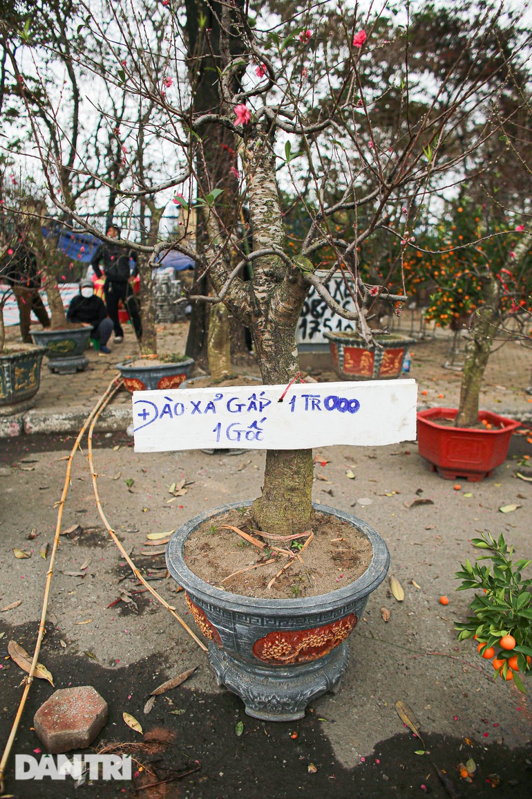ha noi dao quat o at xa hang giam gia sau ngay 29 tet nhung van e khach4