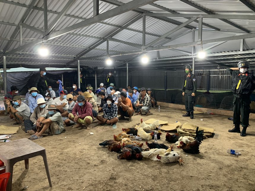 tien giang triet pha soi bac quy mo lon co khoang 200 doi tuong tu tap tien giang triet pha soi bac quy mo lon co khoang 200 doi tuong tu tap