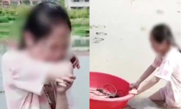 con gai 11 tuoi muon bo hoc cach xu ly cua ong bo khien dan tinh chia phe tranh cai con gai 11 tuoi muon bo hoc cach xu ly cua ong bo khien dan tinh chia phe tranh cai