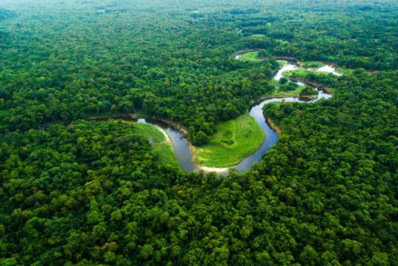vi sao den nay van chua co cay cau nao bac qua song amazon1 vi sao den nay van chua co cay cau nao bac qua song amazon1