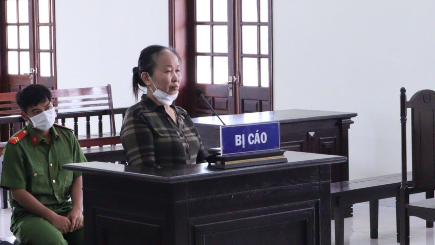 thue nguoi lam gia so do de lua dao nguoi phu nu lanh an 17 nam tu thue nguoi lam gia so do de lua dao nguoi phu nu lanh an 17 nam tu