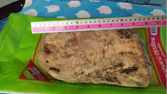 nguoi dan ong doi doi nho nhat duoc vat the la tren bai bien