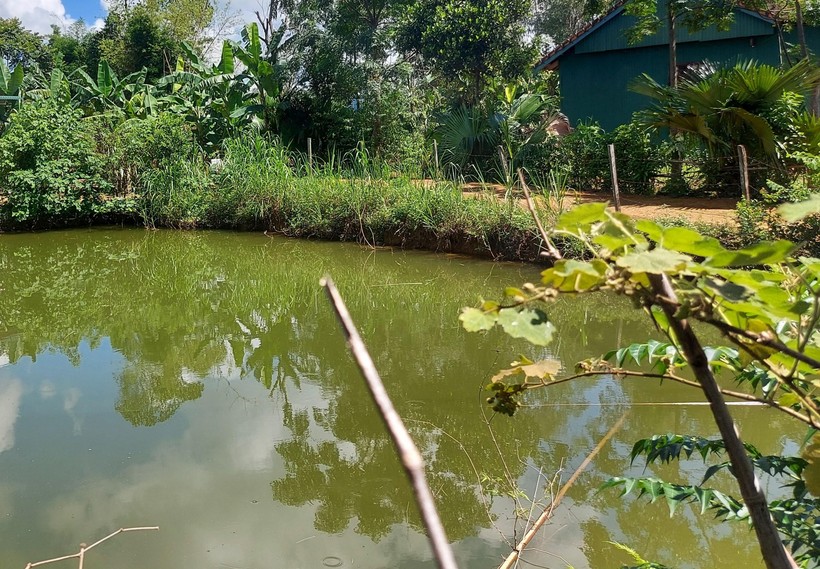truot chan xuong ao ca hai em nho o quang binh duoi nuoc thuong tam truot chan xuong ao ca hai em nho o quang binh duoi nuoc thuong tam