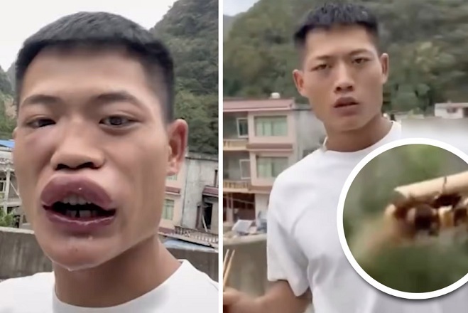 tin tuc doi song ngay 119 thanh nien bi chi trich vi dang video an ong bap cay con song1 tin tuc doi song ngay 119 thanh nien bi chi trich vi dang video an ong bap cay con song1