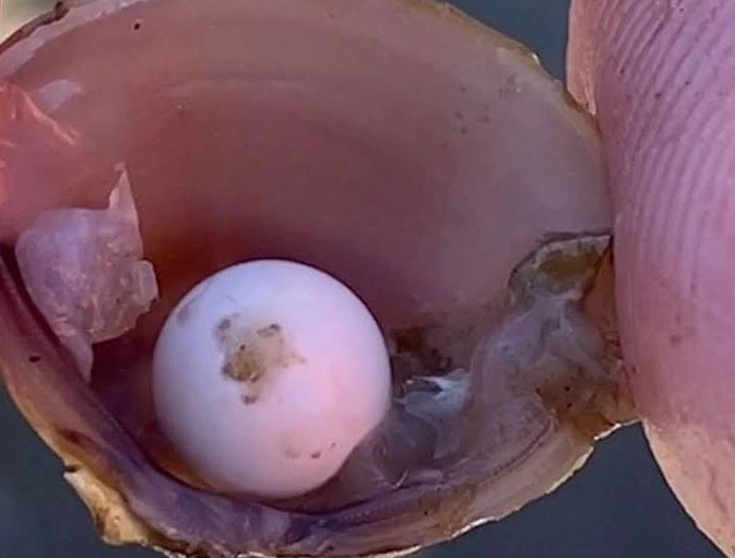 vo tinh phat hien ngoc hiem khi dang choi dua o bo song