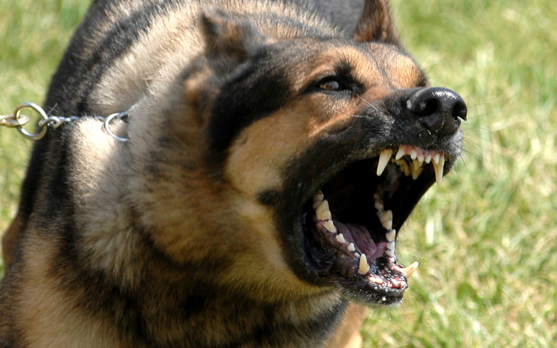 tin tuc doi song ngay 1812 nguoi dan ong dau nguc kho tho keo dai chi vi mieng mo ga3