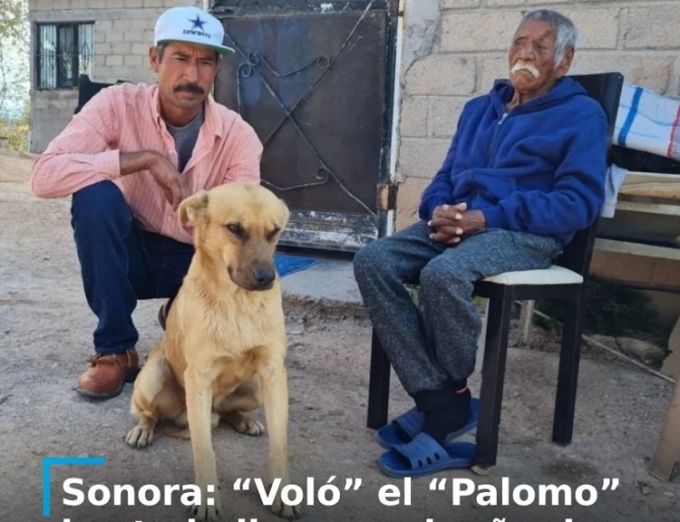 chu nhan mat tich 7 ngay chua tim thay chu cho cung co hanh dong gay ngo ngang chu nhan mat tich 7 ngay chua tim thay chu cho cung co hanh dong gay ngo ngang