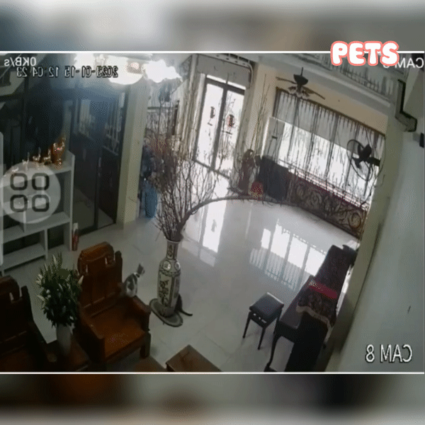 tin tuc doi song ngay 241 nguoi dan ong kiem bon tien nho tu lam mau ban giay cao got1 tin tuc doi song ngay 241 nguoi dan ong kiem bon tien nho tu lam mau ban giay cao got1