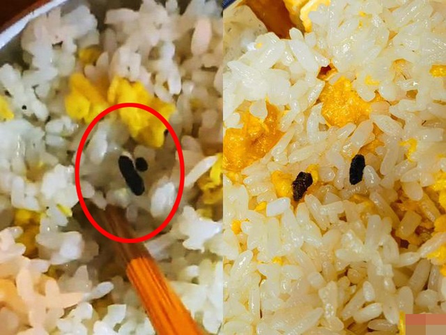 khach phan nan com rang co vat la mau den nhu phan chuot chu quan co hanh dong cuc soc khach phan nan com rang co vat la mau den nhu phan chuot chu quan co hanh dong cuc soc