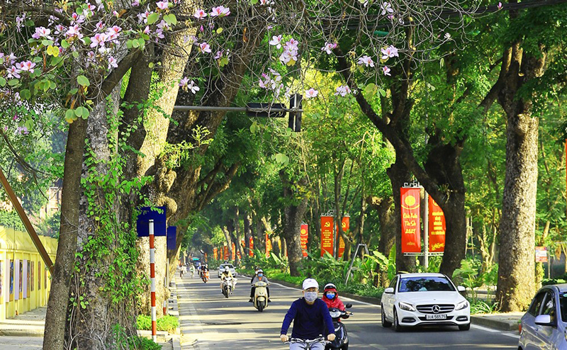 tin tuc du bao thoi tiet ngay 272 mien bac troi ret ngay nang dem khong mua
