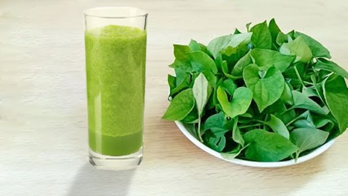 10 tac dung tuyet voi cua rau diep ca khong phai ai cung biet1 10 tac dung tuyet voi cua rau diep ca khong phai ai cung biet1