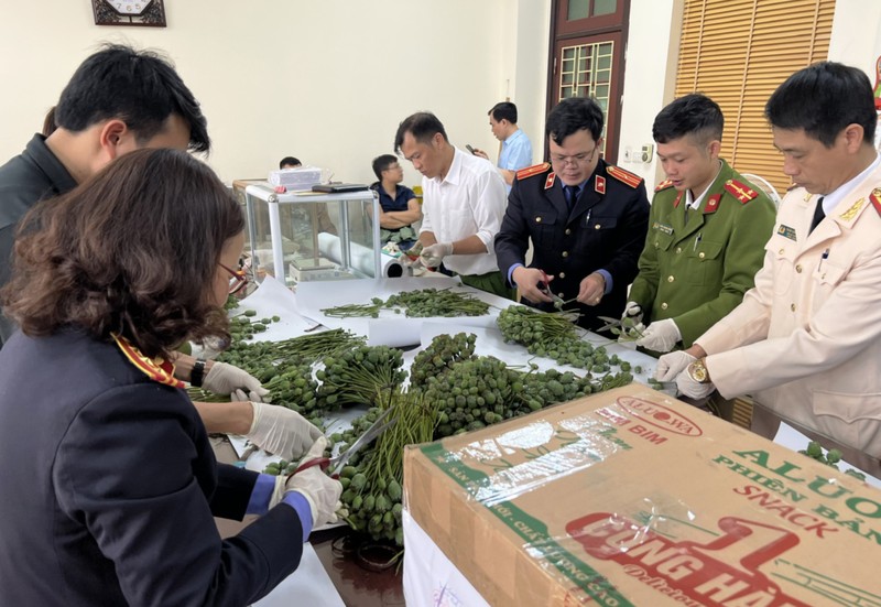 lao cai bat 4 doi tuong mua ban trai phep hon 76kg qua canh cay thuoc phien lao cai bat 4 doi tuong mua ban trai phep hon 76kg qua canh cay thuoc phien
