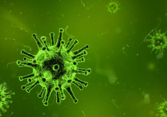 virus cum ah3n2 hay ah1n1 nghiem trong hon can lam gi de tranh nhiem cum virus cum ah3n2 hay ah1n1 nghiem trong hon can lam gi de tranh nhiem cum