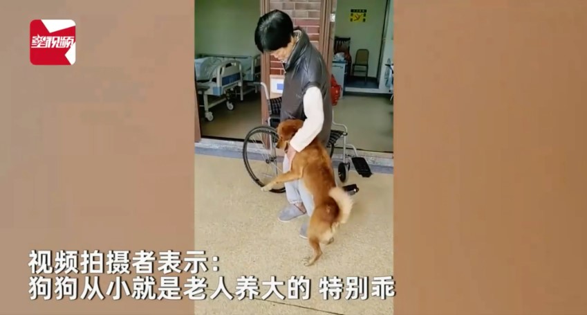 video den vien tham chu bi om co gi dac biet ma gay bao mang xa hoi1 video den vien tham chu bi om co gi dac biet ma gay bao mang xa hoi1