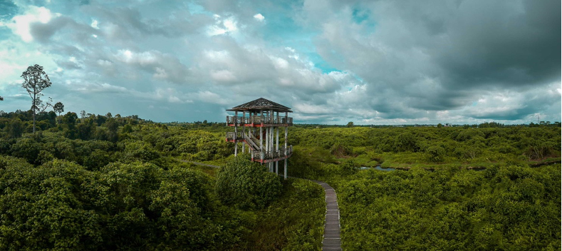 ninh binh dia diem du lich vua tui tien nhat viet nam2