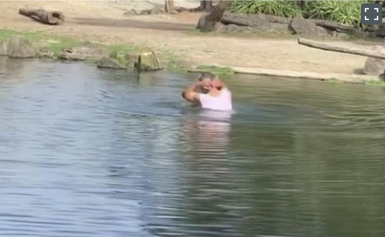 nguoi dan ong vuot rao vao chuong te giac hanh dong sau do gay choang vang nguoi dan ong vuot rao vao chuong te giac hanh dong sau do gay choang vang