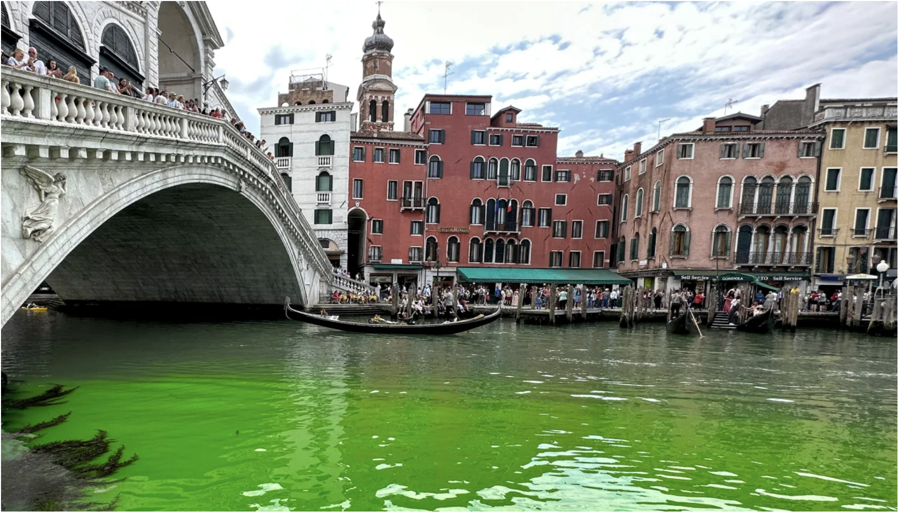 italy mang nuoc mau xanh bat thuong xuat hien tren kenh dao grand o venice italy mang nuoc mau xanh bat thuong xuat hien tren kenh dao grand o venice