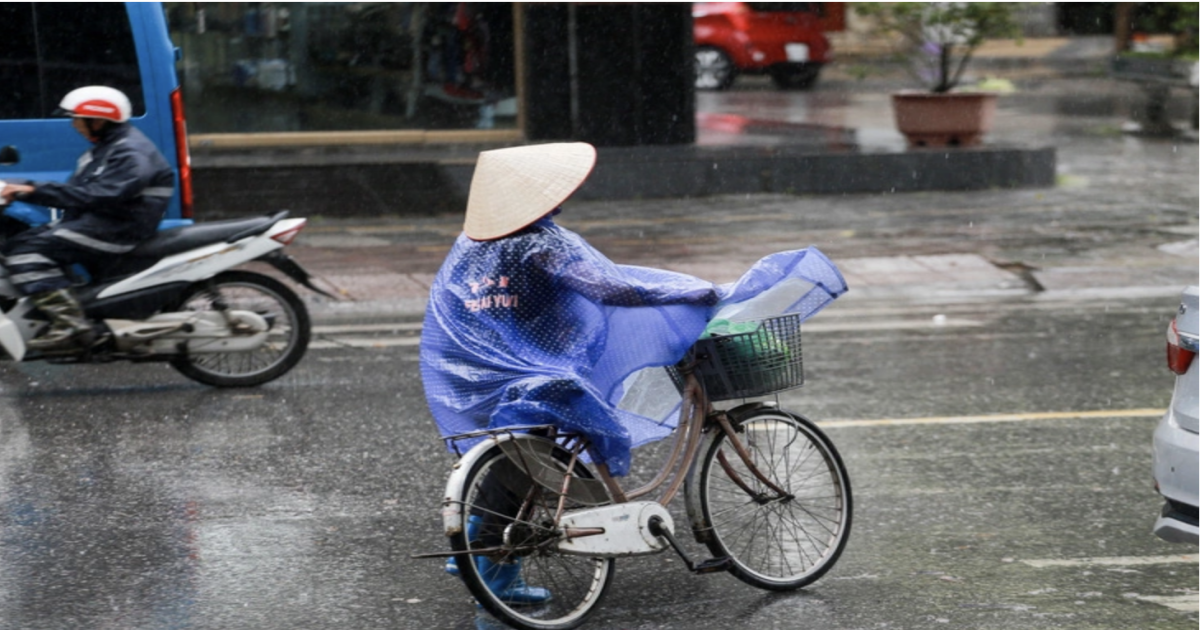 ly do bao so 1 bao talim khong do bo vao quang ninh hai phong nhu du bao1