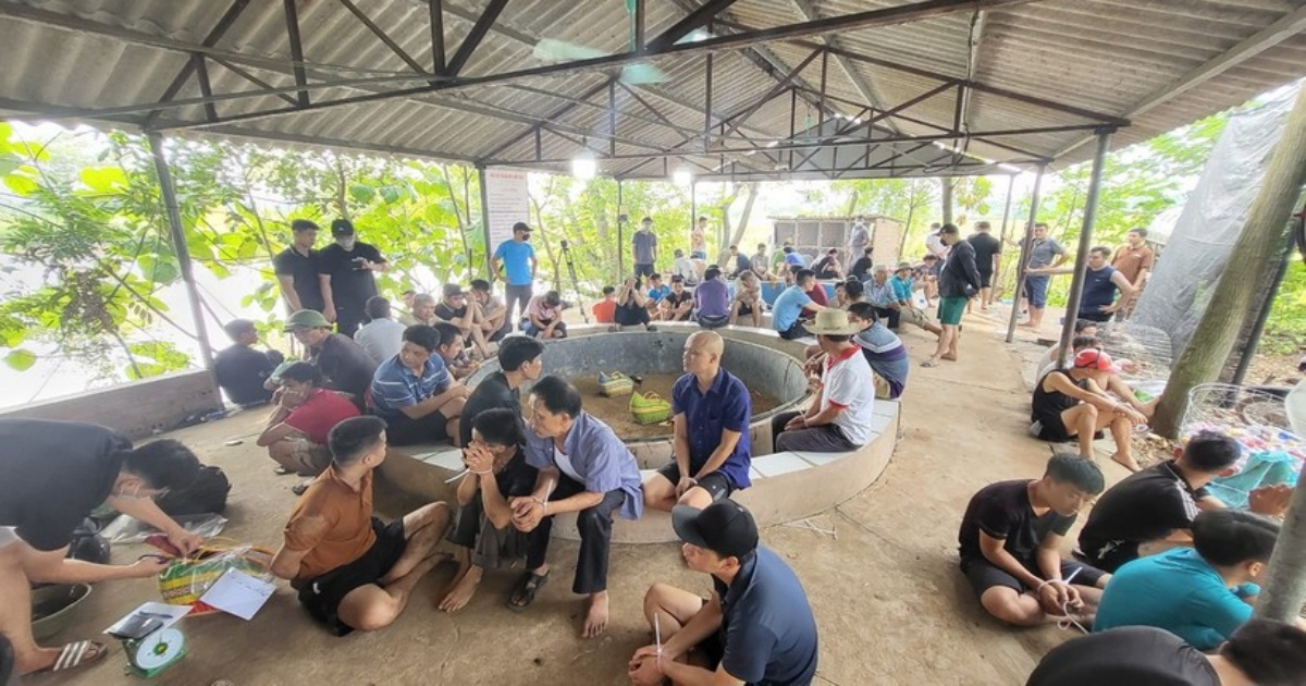 triet xoa soi da ga an tien giua canh dong bat giu 75 doi tuong triet xoa soi da ga an tien giua canh dong bat giu 75 doi tuong