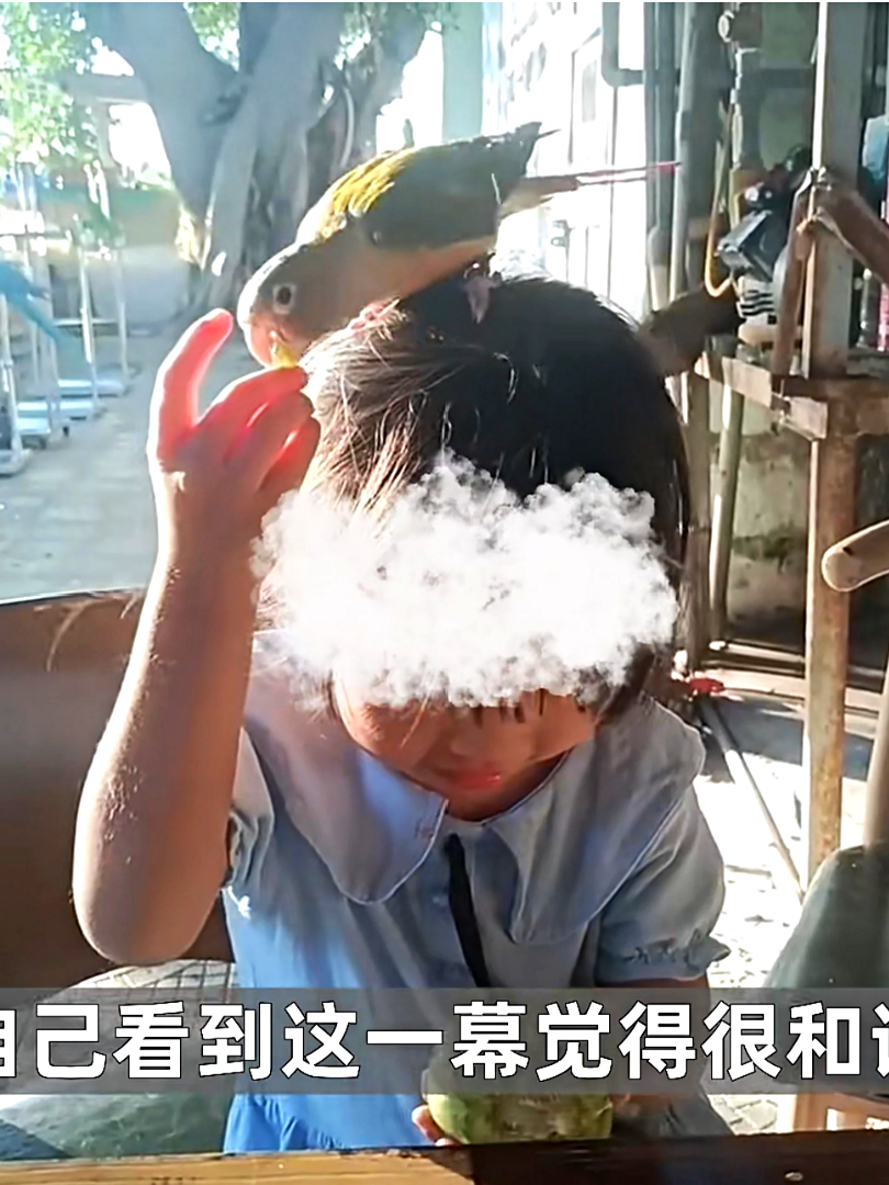 dan tinh choang vang khi be gai 4 tuoi nam ngu ben con tran khung1 dan tinh choang vang khi be gai 4 tuoi nam ngu ben con tran khung1