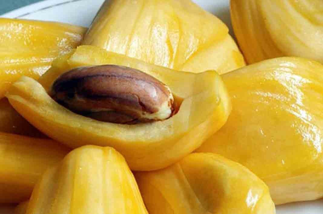 mit co mot bo phan cuc tot cho suc khoe nhung nhieu nguoi toan nem bo1 mit co mot bo phan cuc tot cho suc khoe nhung nhieu nguoi toan nem bo1