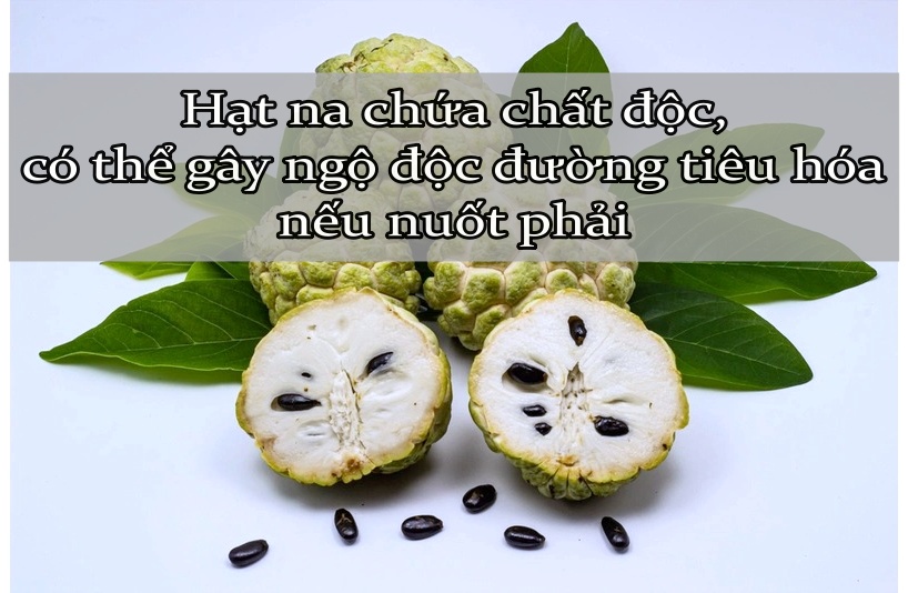 qua na co mot bo phan cuc doc chu quan coi chung bong mat ngo doc2 qua na co mot bo phan cuc doc chu quan coi chung bong mat ngo doc2