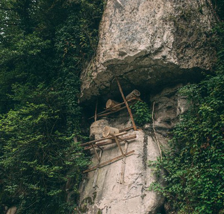 loai mat ong chi co o tho nhi ky gia hon 160 trieu dong kg8 loai mat ong chi co o tho nhi ky gia hon 160 trieu dong kg8