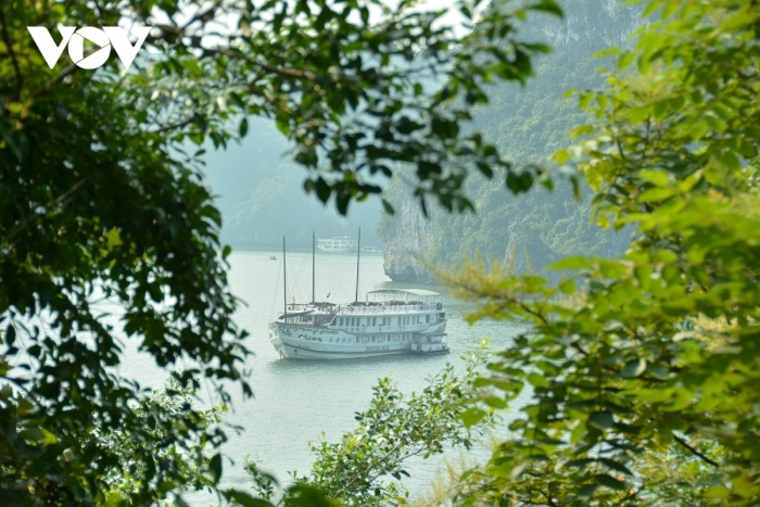 ve dep nen tho lam say dam long nguoi cua di san the gioi vinh ha long quan dao cat ba10