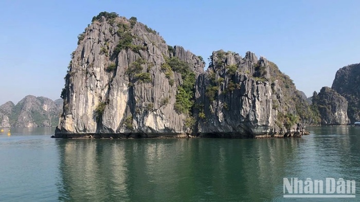 ve dep nen tho lam say dam long nguoi cua di san the gioi vinh ha long quan dao cat ba14