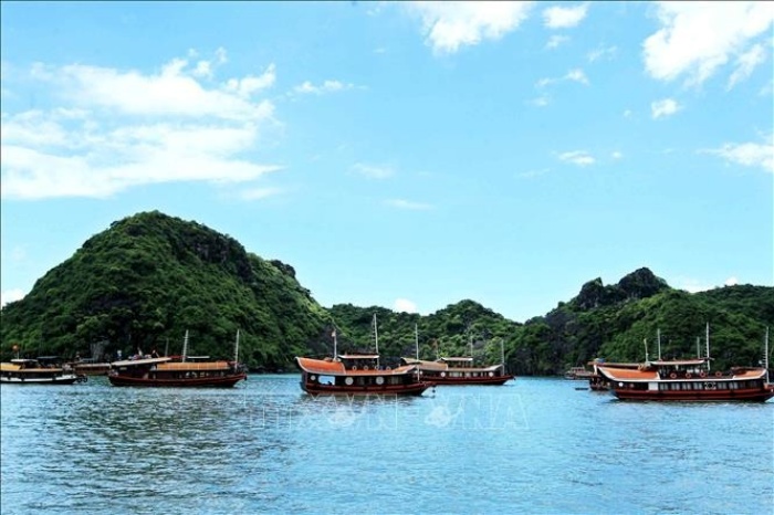ve dep nen tho lam say dam long nguoi cua di san the gioi vinh ha long quan dao cat ba15