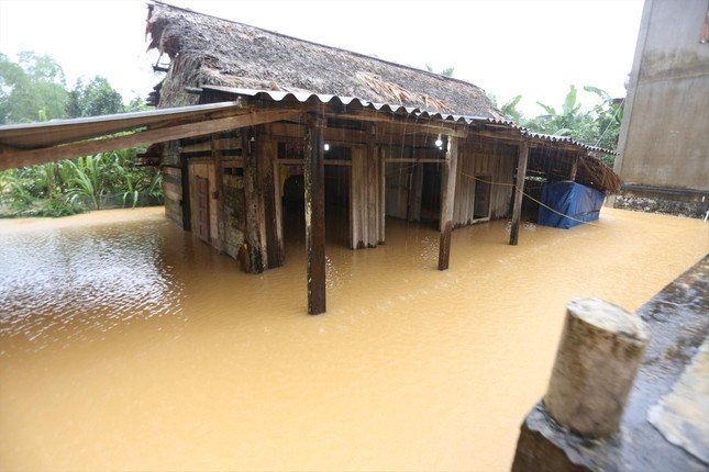 xot xa canh nuoc lu bua vay nguoi mat 3 ngay chua the an tang nhieu tre lam canh mo coi15 xot xa canh nuoc lu bua vay nguoi mat 3 ngay chua the an tang nhieu tre lam canh mo coi15