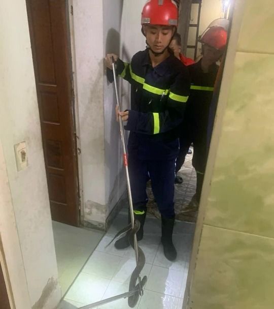 nguoi dan giat minh phat hien be na nam chinh inh trong nha tam1 nguoi dan giat minh phat hien be na nam chinh inh trong nha tam1