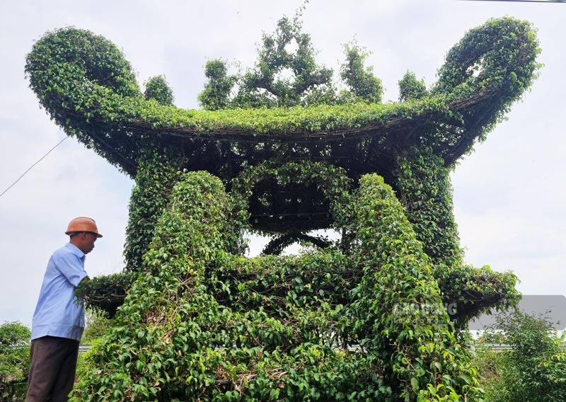 nguoi dan ong danh 15 nam de tao tac cay sanh giong chua mot cot duoc tra hang tram trieu dong8