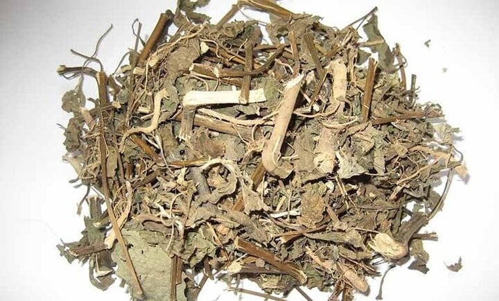 tin tuc doi song moi nhat ngay 8112023 giat minh phat hien giun dai 10 cm trong mat nguoi phu nu1 tin tuc doi song moi nhat ngay 8112023 giat minh phat hien giun dai 10 cm trong mat nguoi phu nu1