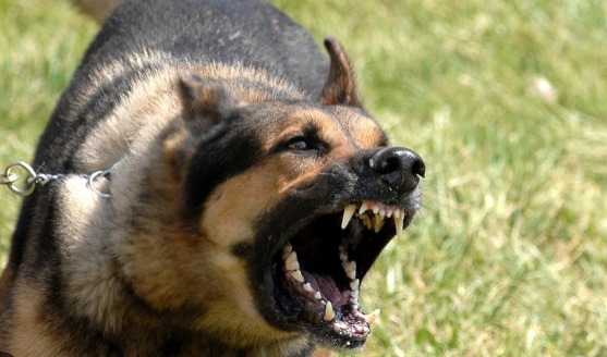 tin tuc doi song moi nhat ngay 8112023 giat minh phat hien giun dai 10 cm trong mat nguoi phu nu2 tin tuc doi song moi nhat ngay 8112023 giat minh phat hien giun dai 10 cm trong mat nguoi phu nu2