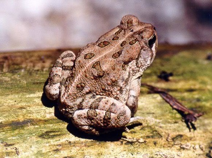 tin tuc doi song moi nhat ngay 2122023 1 nguoi tu vong 1 nguoi nguy kich sau khi an trung coc tin tuc doi song moi nhat ngay 2122023 1 nguoi tu vong 1 nguoi nguy kich sau khi an trung coc